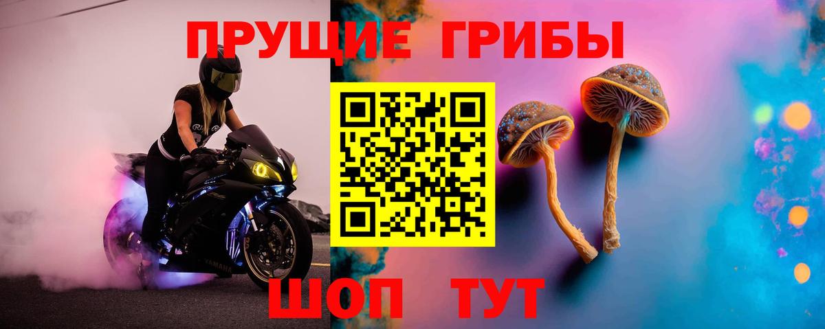 Галлюциногенные грибы Psilocybine cubensis  Псилоцибиновые грибы ЛСД  Ессентуки  Вход с VPN 